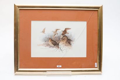 POISSONNIER Christophe
