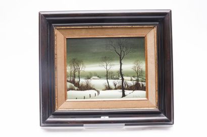 WILLEQUET Piet (1950)
