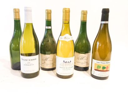 VALLÉE-DE-LA-LOIRE
White, six bottles:

-...