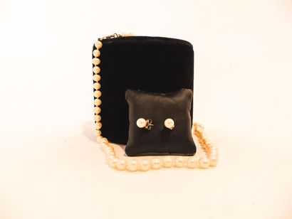 Half set (falling necklace and pair of ear...