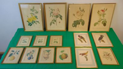 Varia de tableaux, estampes, reproductions,...