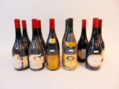 VAL-DE-LOIRE
Rouge, dix bouteilles :

- (CHINON),...