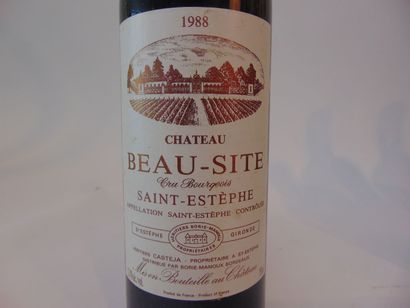 BORDEAUX (SAINT-ESTÈPHE)
Red, Chateau Beau-Site,...