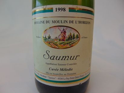 VAL-DE-LOIRE (SAUMUR)
Blanc, Domaine du Moulin...