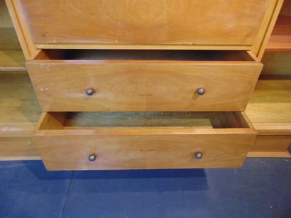 DE COENE [attribué à]
Multipurpose cabinet...