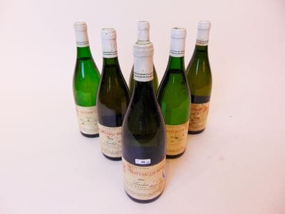 VALLÉE-DU-RHÔNE (CÔTES-DU-RHÔNE)
Blanc, Château...