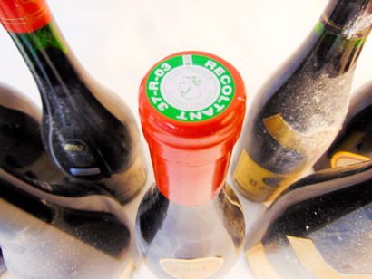 VAL-DE-LOIRE
Rouge, dix bouteilles :

- (CHINON),...