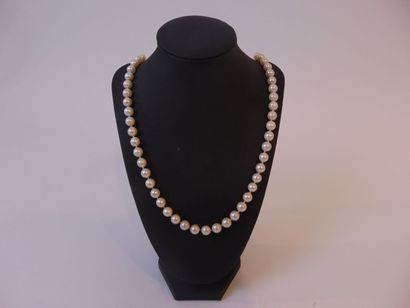 Collier de perles, fermoir en or blanc (18...