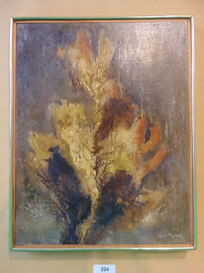 DE MUYLDER Pierre Willy (1921-2013)

