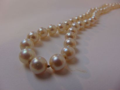 Collier de perles, fermoir en or blanc (18...