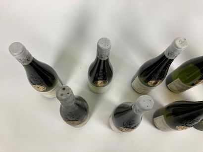 France
Lot de dix bouteilles (blanc) :

-...