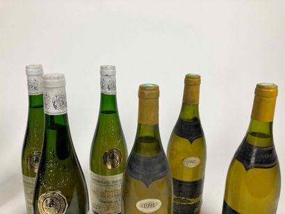France
Lot de dix bouteilles (blanc) :

-...