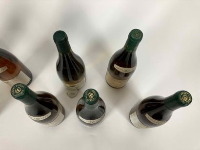 BOURGOGNE
Lot de dix bouteilles (blanc) :

-...