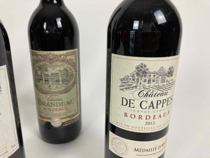 BORDEAUX
Lot de douze bouteilles (rouge)...