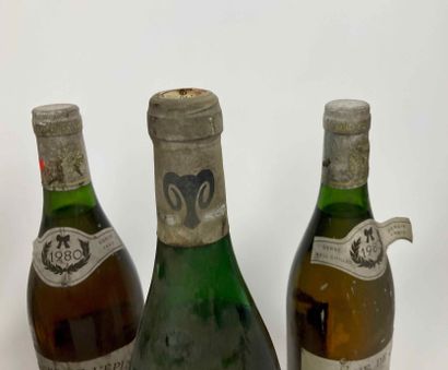 France
Lot de onze bouteilles :

- BOURGOGNE...