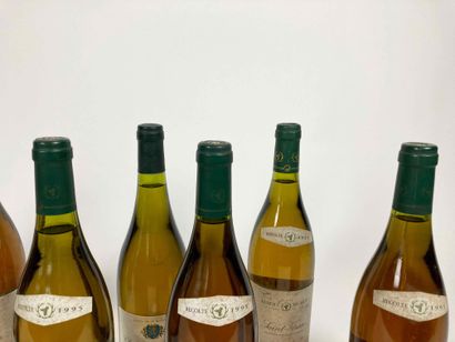 BOURGOGNE
Lot de dix bouteilles (blanc) :

-...