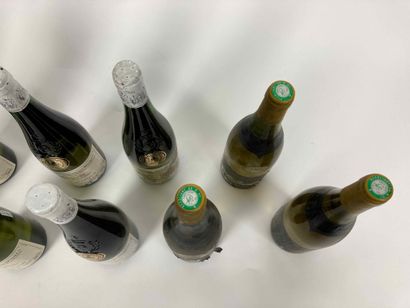 France
Lot de dix bouteilles (blanc) :

-...
