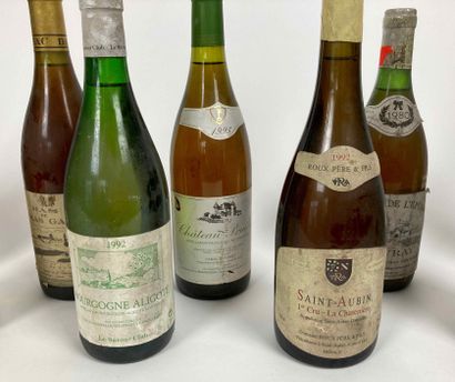 France
Lot de onze bouteilles :

- BOURGOGNE...
