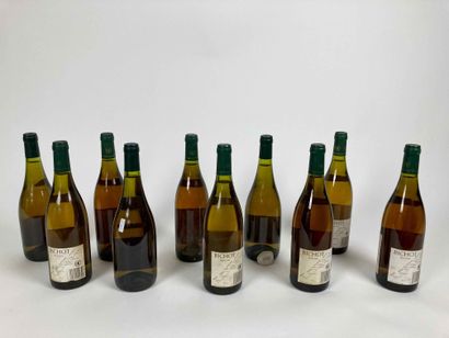 BOURGOGNE
Lot de dix bouteilles (blanc) :

-...