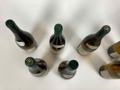 BOURGOGNE
Lot de dix bouteilles (blanc) :

-...