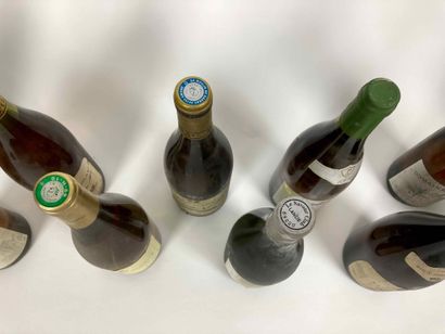 France
Lot de onze bouteilles :

- BOURGOGNE...