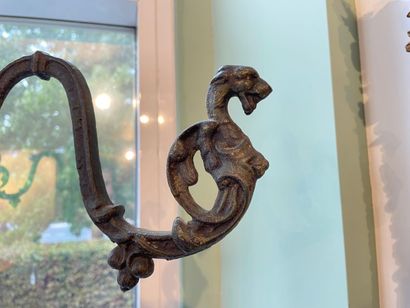 Coat rack with four pairs of chimera pegs,...