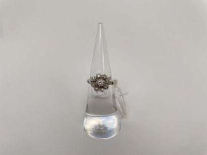 Ring-marguerite in white gold (750 thousandths)...