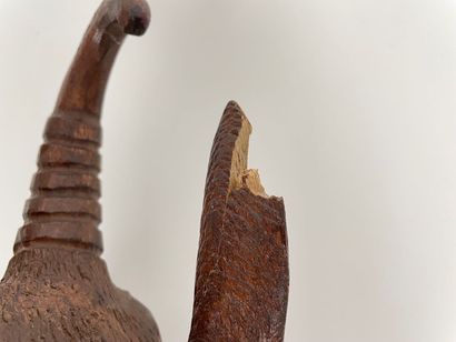 FORÊT-NOIRE
Wall coat rack with ibex head...