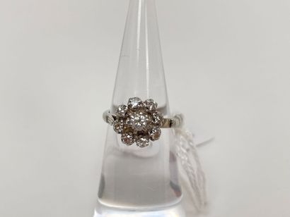 Ring-marguerite in white gold (750 thousandths)...