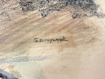 BRUYLANDT G.
