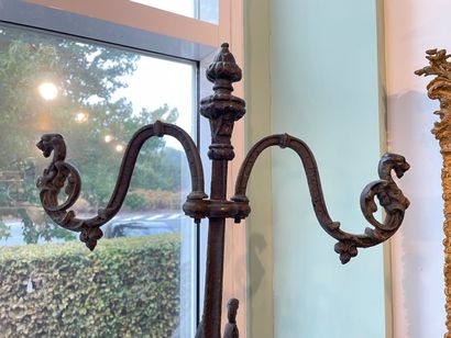 Coat rack with four pairs of chimera pegs,...
