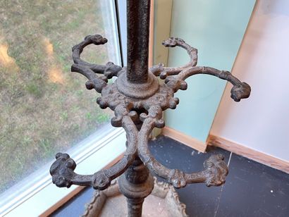 Coat rack with four pairs of chimera pegs,...