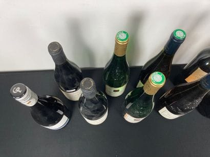 FRANCE
Lot de treize bouteilles :
- LANGUEDOC...