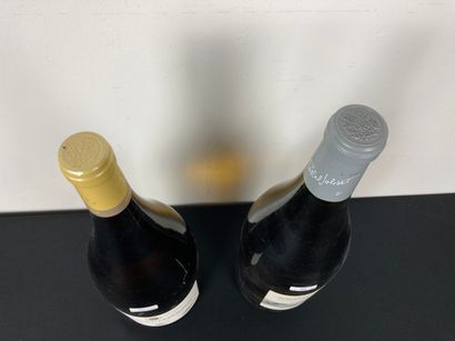FRANCE
Lot de deux magnums :
- VALLÉE-DE-LA-LOIRE...