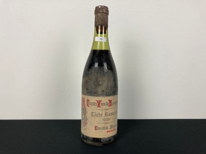 BOURGOGNE (TÂCHE-ROMANÉE)
Chevillot, grand...