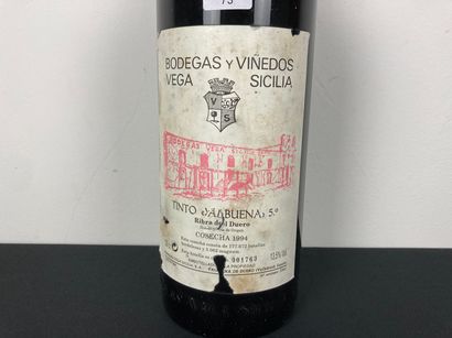 ESPAGNE (RIBERA DEL DUERO)
Valbuena / Bodegas...