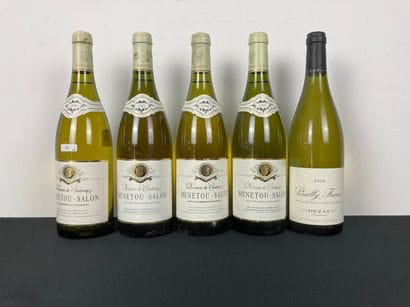 VALLÉE-DE-LA-LOIRE
Lot de cinq bouteilles...
