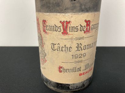 BOURGOGNE (TÂCHE-ROMANÉE)
Chevillot, grand...