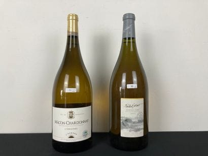 FRANCE
Lot de deux magnums :
- VALLÉE-DE-LA-LOIRE...