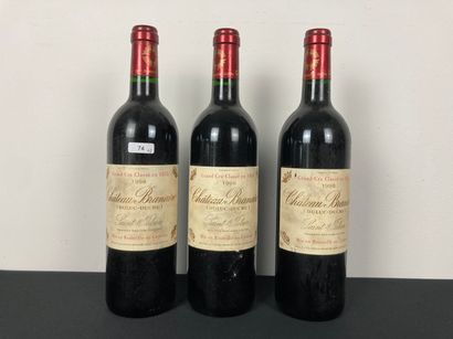 BORDEAUX (SAINT-JULIEN)
Château Branaire...