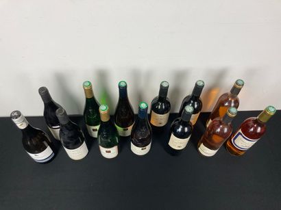 FRANCE
Lot de treize bouteilles :
- LANGUEDOC...