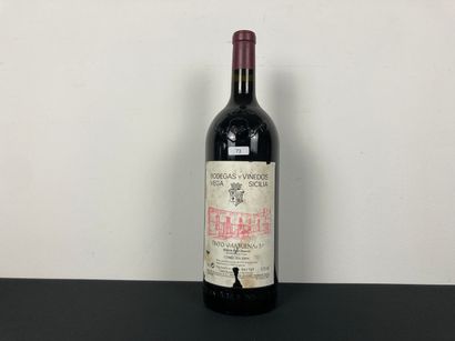 ESPAGNE (RIBERA DEL DUERO)
Valbuena / Bodegas...