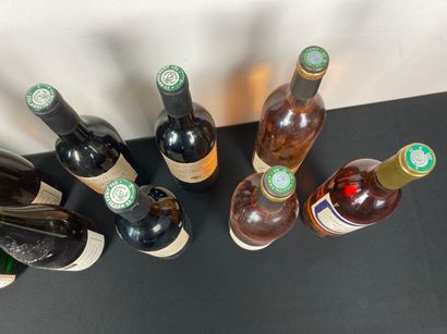 FRANCE
Lot de treize bouteilles :
- LANGUEDOC...
