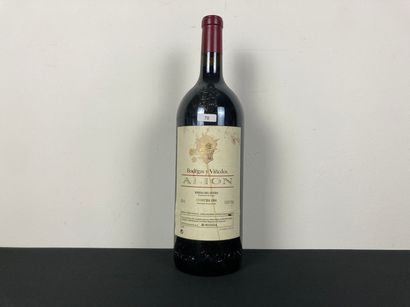 ESPAGNE (RIBERA DEL DUERO)
Alion / Bodegas...