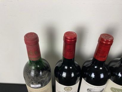 BORDEAUX (HAUT-/MÉDOC)
Varia de sept bouteilles...