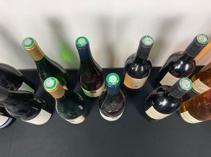 FRANCE
Lot de treize bouteilles :
- LANGUEDOC...