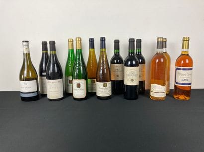 FRANCE
Lot de treize bouteilles :
- LANGUEDOC...