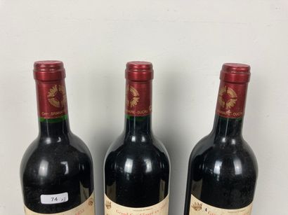 BORDEAUX (SAINT-JULIEN)
Château Branaire...