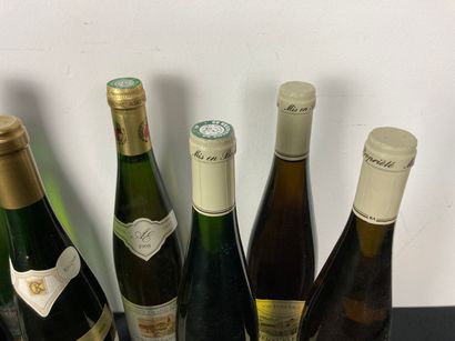 ALSACE et divers
Varia de douze bouteilles...