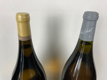 FRANCE
Lot de deux magnums :
- VALLÉE-DE-LA-LOIRE...